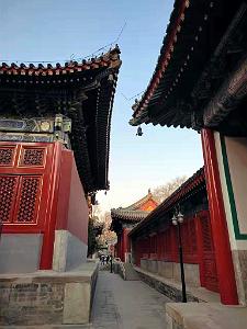 2023 02 05  PEKIN - WANSHOU TEMPLE LONGEVITE BIENVEILLANCE (21)